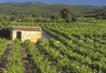 Sortie « Le Bouys » : 7 avril 2019