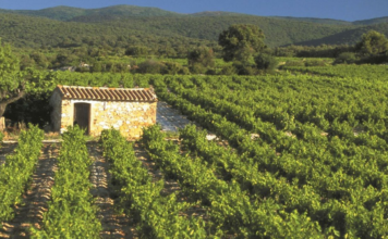 Sortie « Le Bouys » : 7 avril 2019