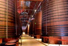 24 mars 2019. Caves BYRRH à Thuir.