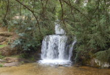 11 Août. Balade Montagne Noire.