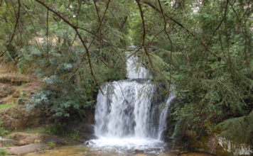 11 Août. Balade Montagne Noire.