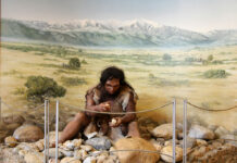 2025-03-25. Musée de Tautavel