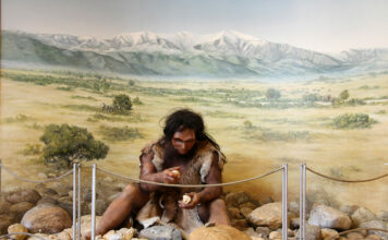 2025-03-25. Musée de Tautavel